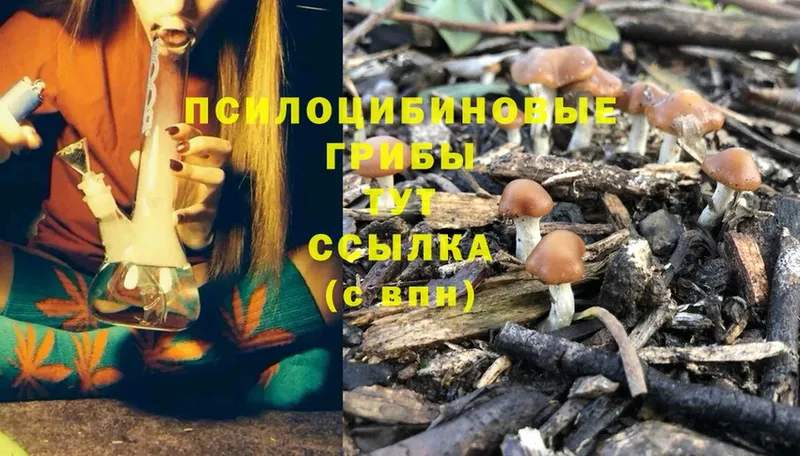 сколько стоит  Майский  это состав  Галлюциногенные грибы MAGIC MUSHROOMS 